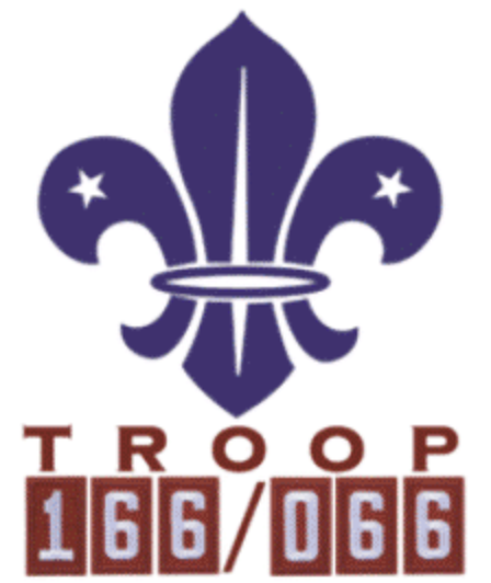 scounts troop 166 logo